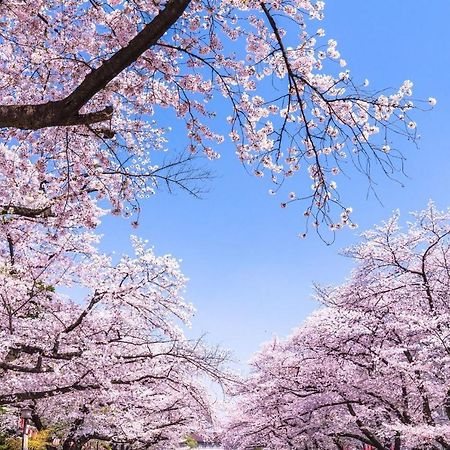 Hotel Owl Tokyo Nippori Εξωτερικό φωτογραφία