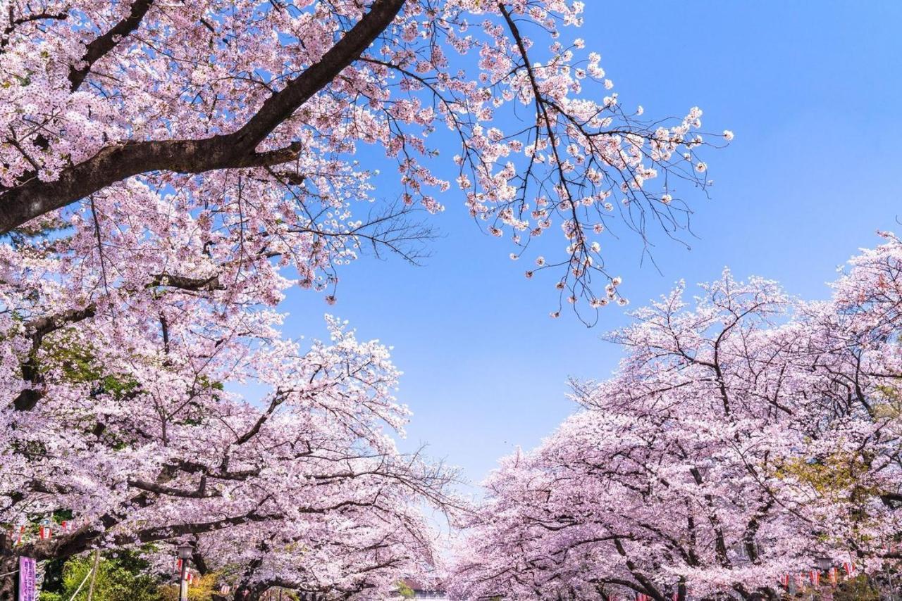 Hotel Owl Tokyo Nippori Εξωτερικό φωτογραφία